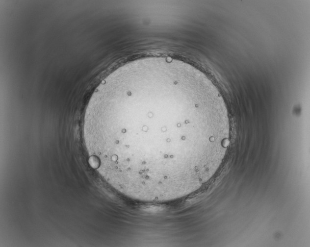 X0000116550313201001211207