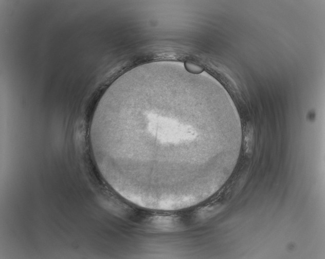 X0000116550314201001211207