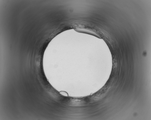 X0000116550315201001211207