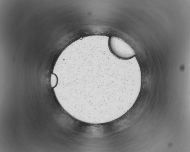 X0000116550317201001211207