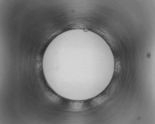 X0000116550318201001211207