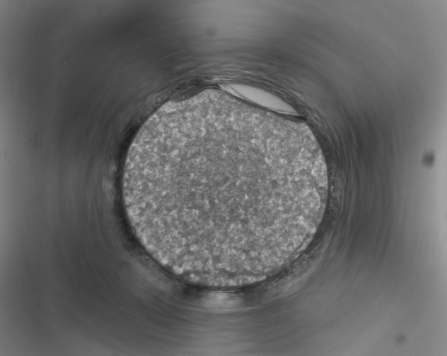 X0000116550319201001211207