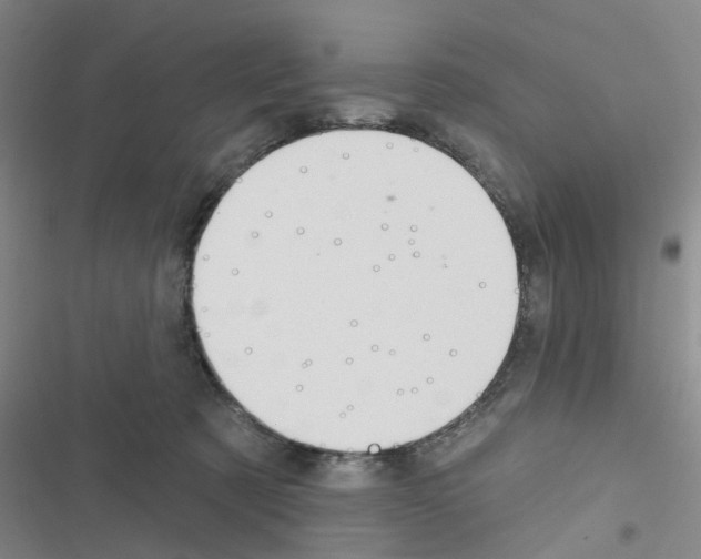 X0000116550321201001211207