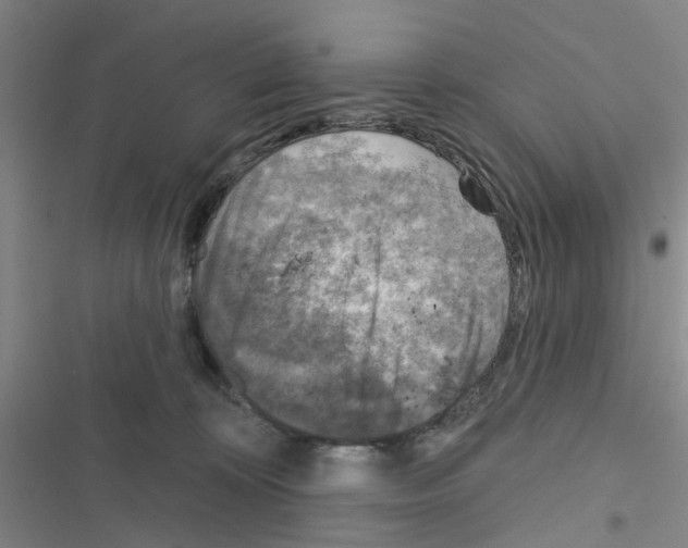 X0000116550324201001211207