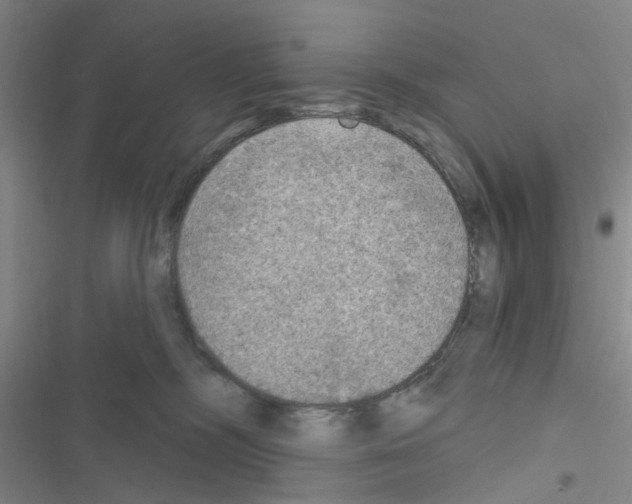 X0000116550326201001211207