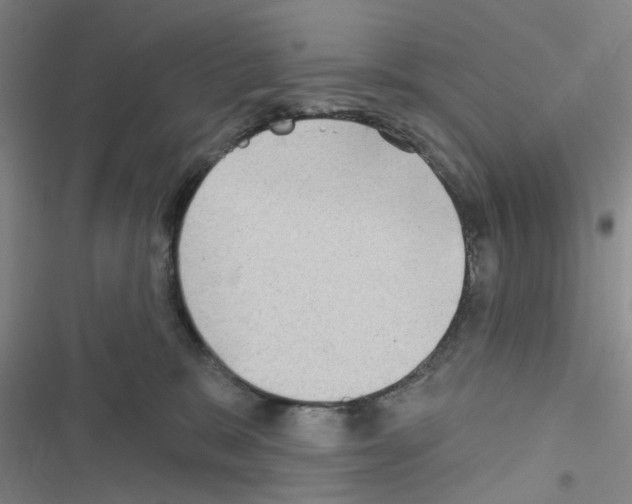 X0000116550327201001211207