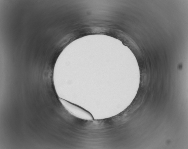 X0000116550329201001211207