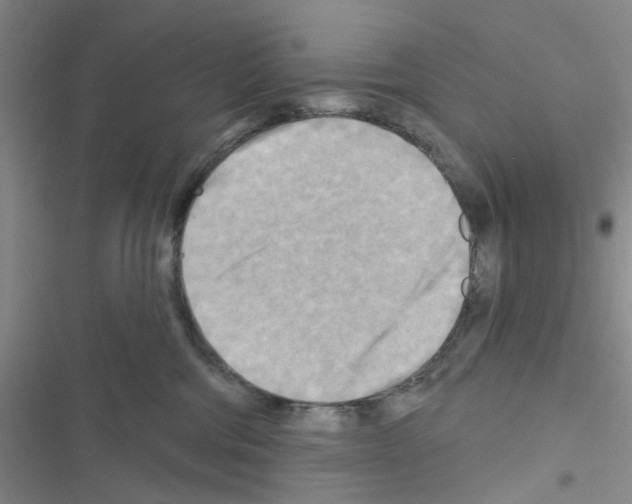 X0000116550330201001211207