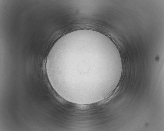 X0000116550333201001211207