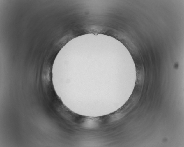 X0000116550334201001211207