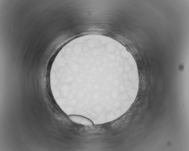 X0000116550338201001211206