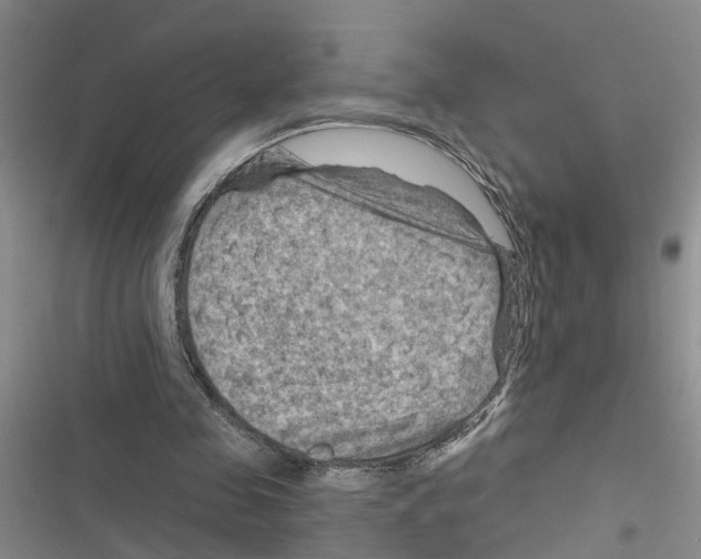 X0000116550341201001211206