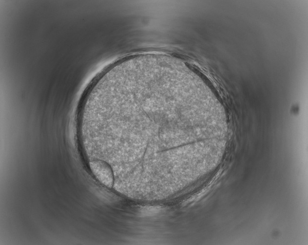 X0000116550342201001211206