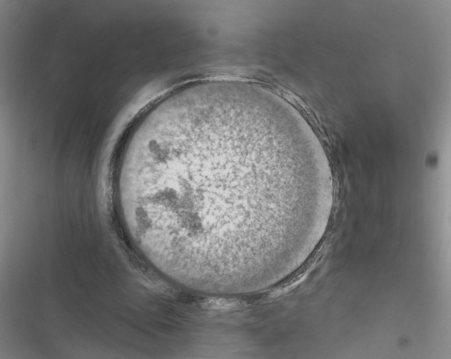 X0000116550343201001211206