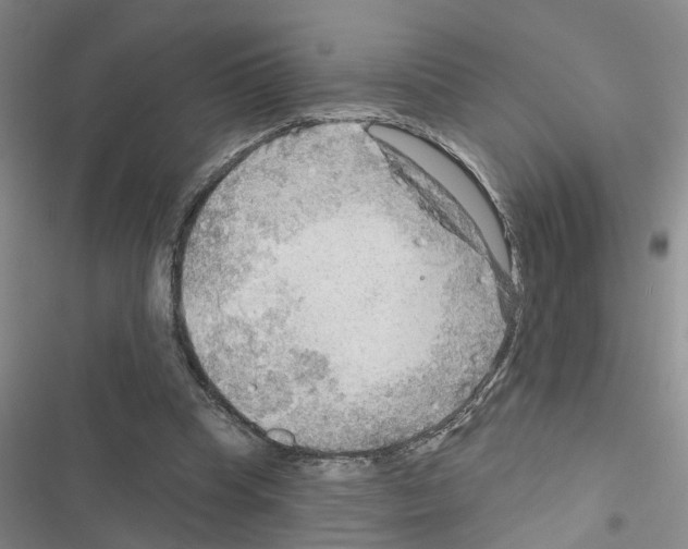 X0000116550345201001211206