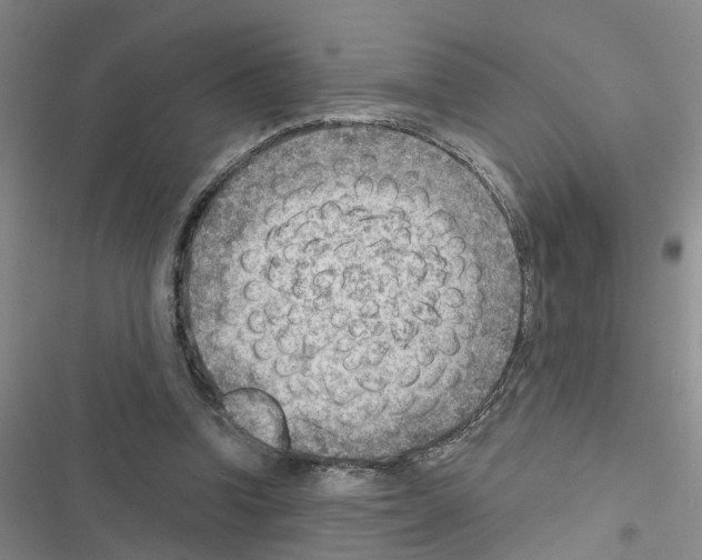 X0000116550346201001211206