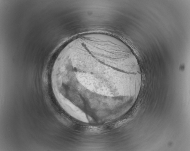 X0000116550347201001211206