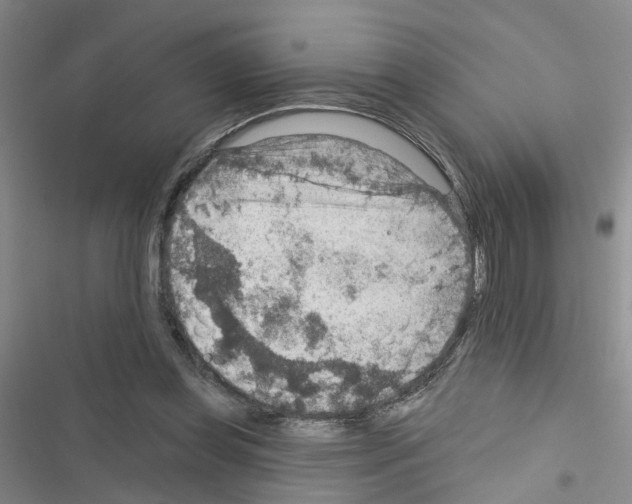 X0000116550349201001211206