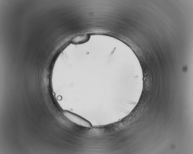 X0000116550350201001211206