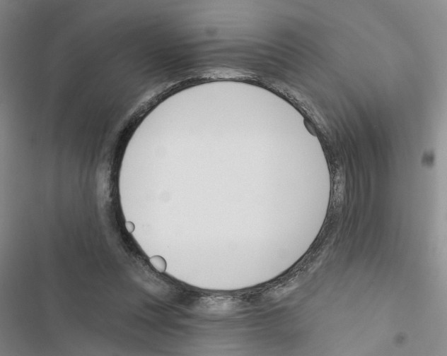 X0000116550351201001211206