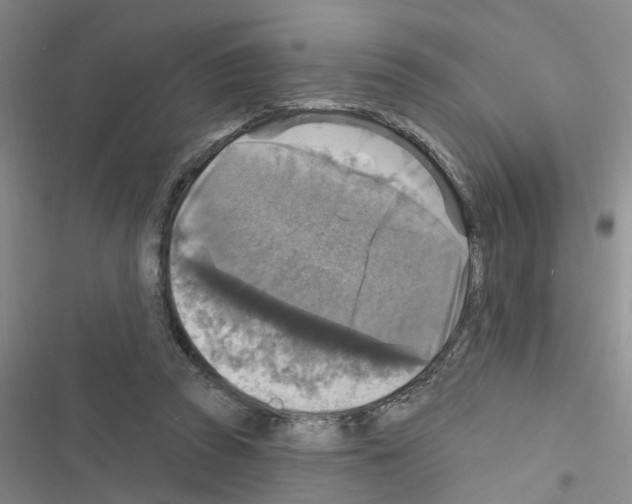 X0000116550353201001211206