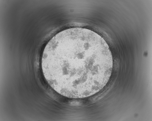 X0000116550358201001211206