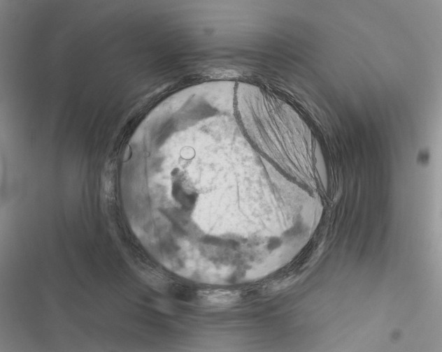 X0000116550359201001211206