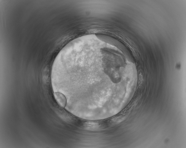 X0000116550361201001211206