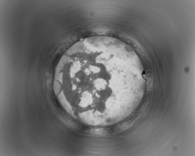 X0000116550365201001211207