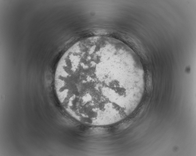 X0000116550367201001211207