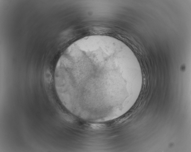 X0000116550371201001211207