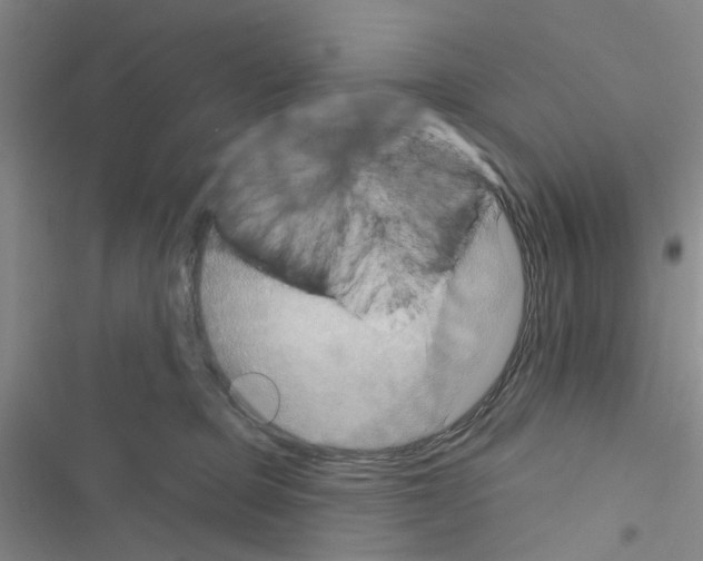 X0000116550373201001211207