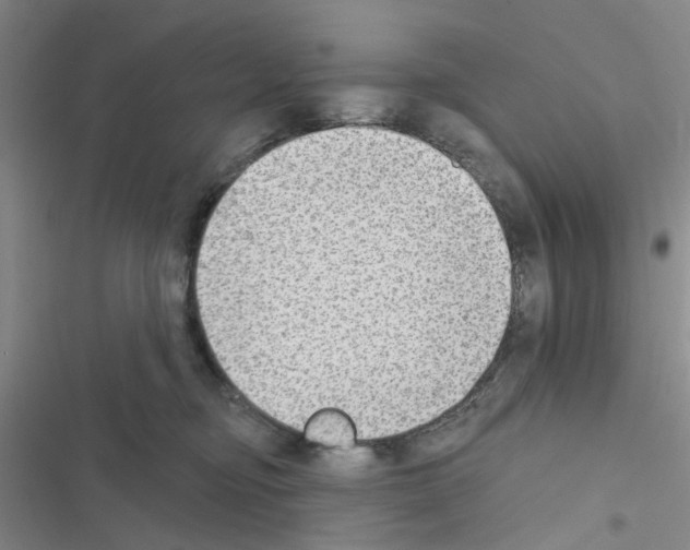 X0000116550374201001211207