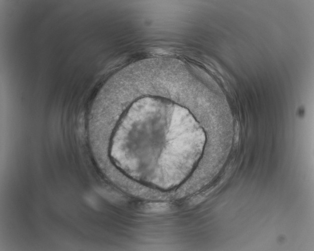 X0000116550377201001211207