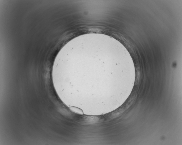 X0000116550379201001211207