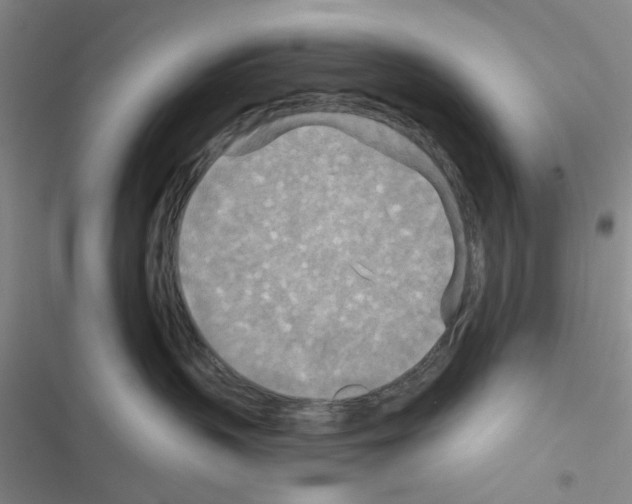 X0000116550383201001211207