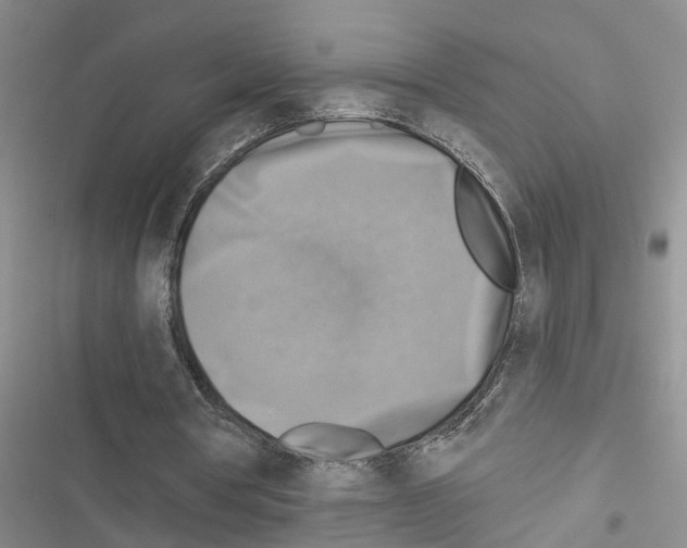 X0000116550386201001211206