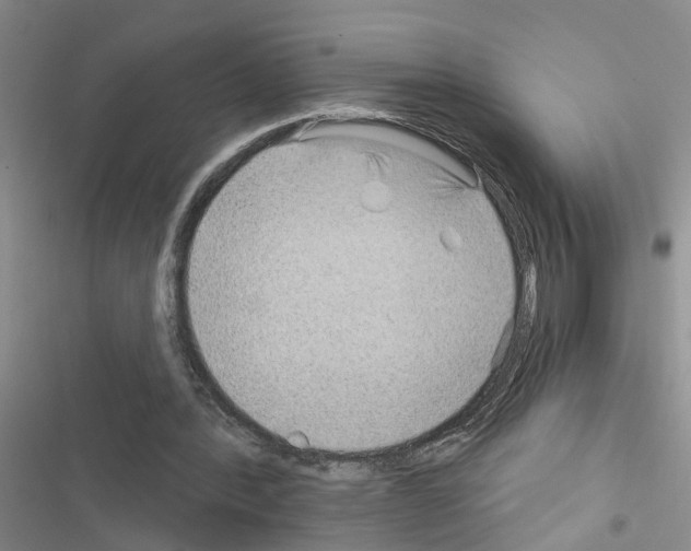 X0000116550388201001211206