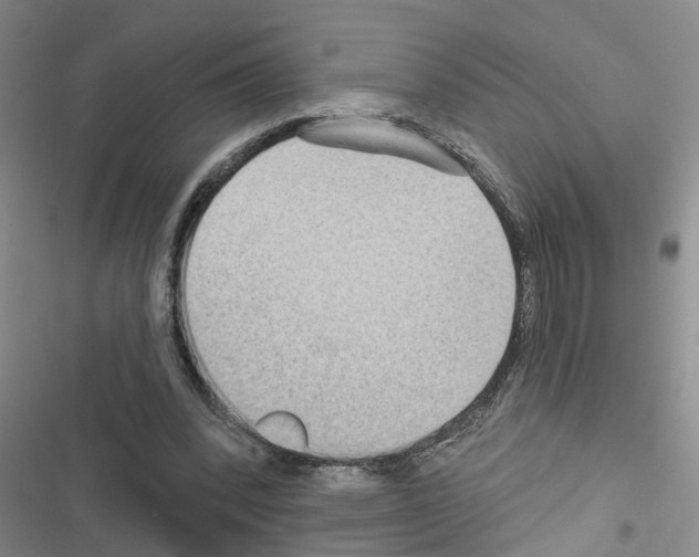 X0000116550392201001211206