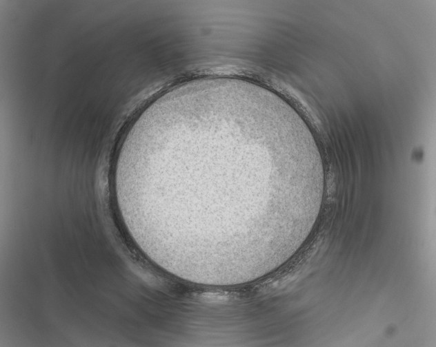 X0000116550394201001211206