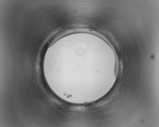 X0000116550396201001211206