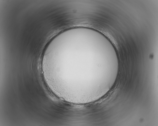 X0000116550397201001211206