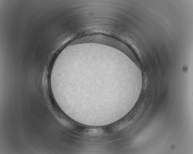 X0000116550398201001211206