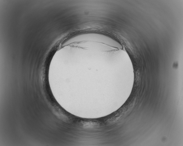 X0000116550400201001211206