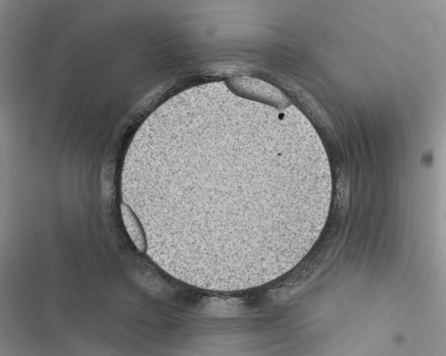 X0000116550403201001211206