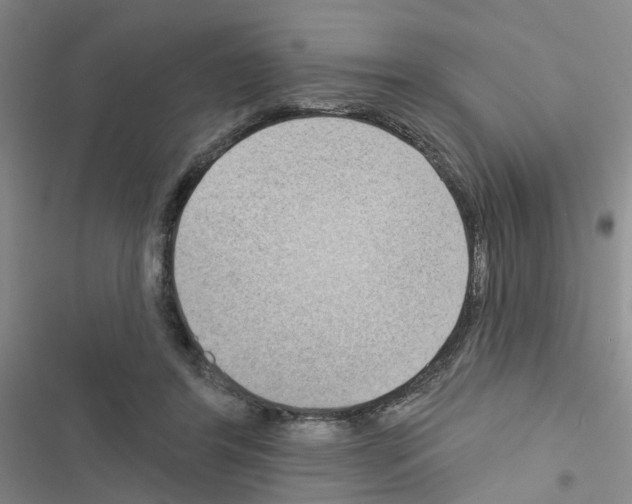 X0000116550404201001211206