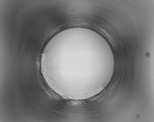 X0000116550405201001211206