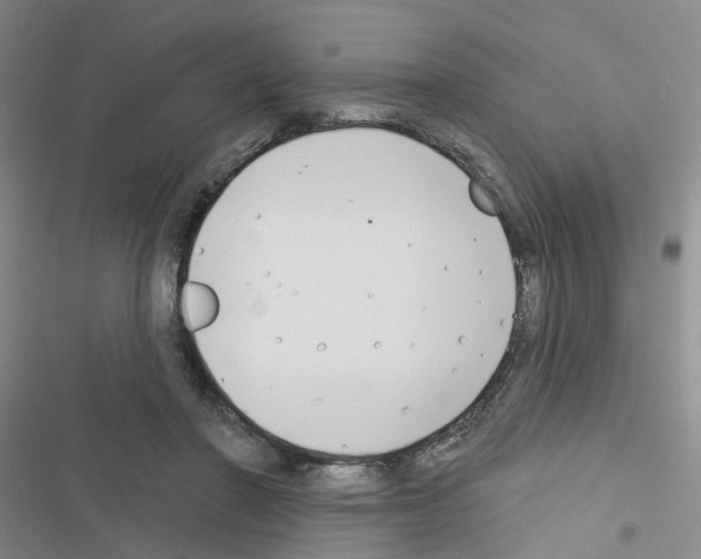 X0000116550406201001211206