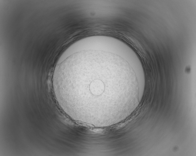 X0000116550409201001211206