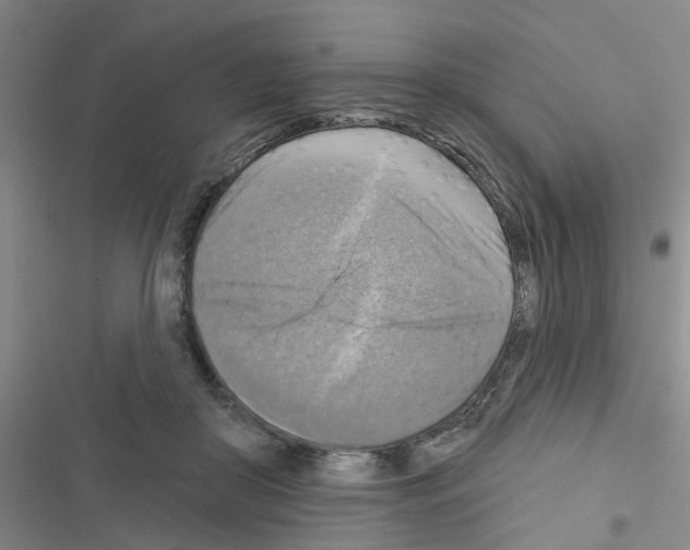 X0000116550410201001211206